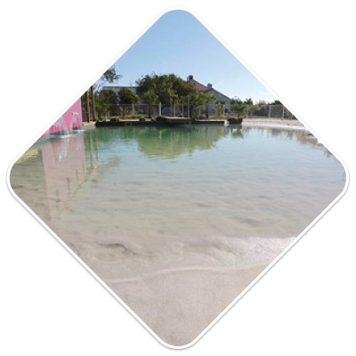 batipro85 piscine Piscine naturelle et filtration biologique vendée