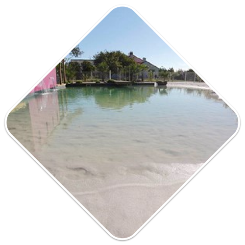 batipro85 piscine Piscines naturelles et filtration biologique vendée