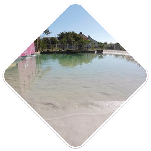 batipro85 piscine Piscine naturelle et filtration biologique vendée